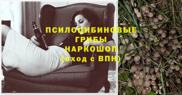 крисы Гусев