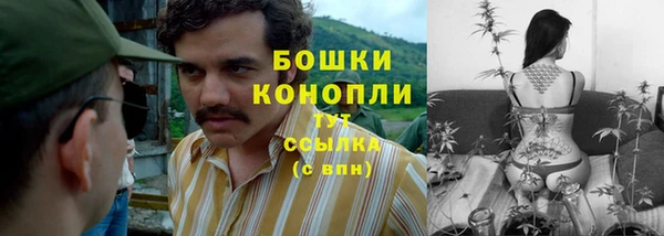 ешки Гусиноозёрск