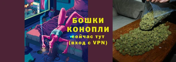 ешки Гусиноозёрск