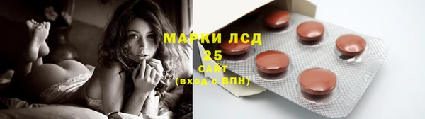 крисы Гусев