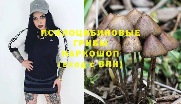 jwh Гусь-Хрустальный