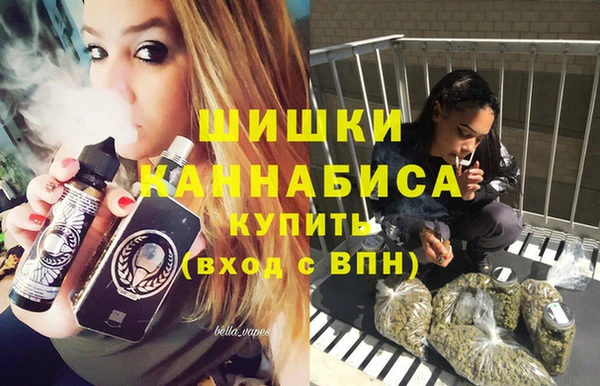 jwh Гусь-Хрустальный