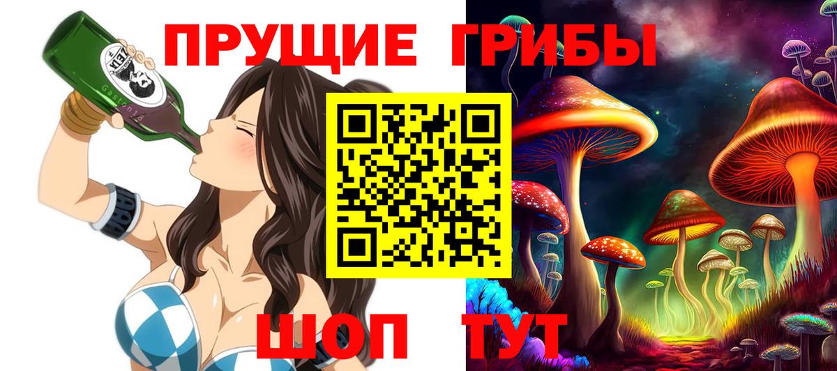 Донской  Псилоцибиновые грибы Psilocybe  Псилоцибиновые грибы ЛСД  Вход с VPN 